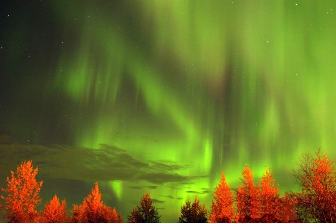 Aurora Shower