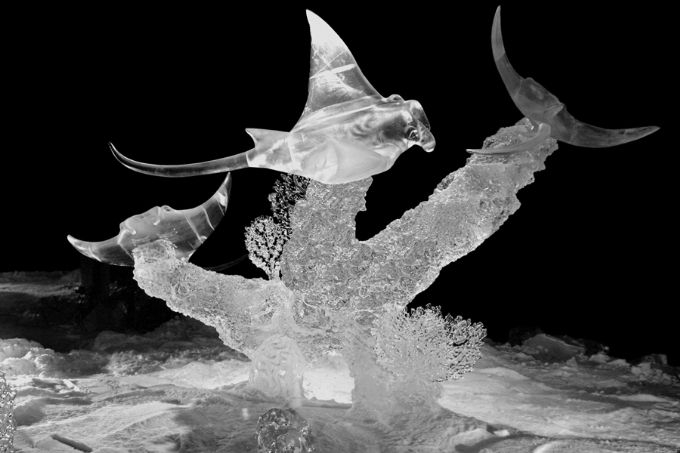 Flying Ice Rays - from 2004 International Ice Carving Championships, Fairbanks, Alaska